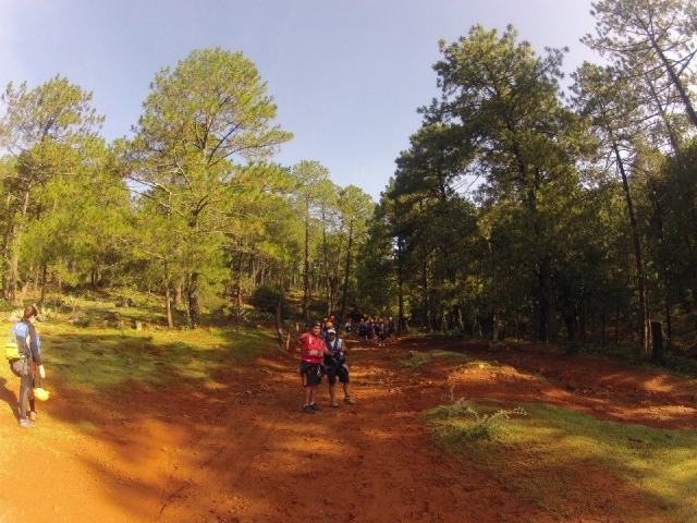 Naturaleza y diversion